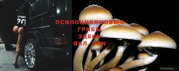 гашишное масло Аркадак