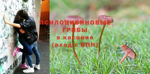 прущие крисы Арсеньев