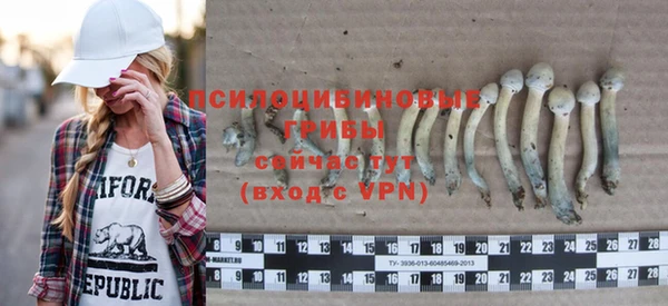прущие крисы Арсеньев
