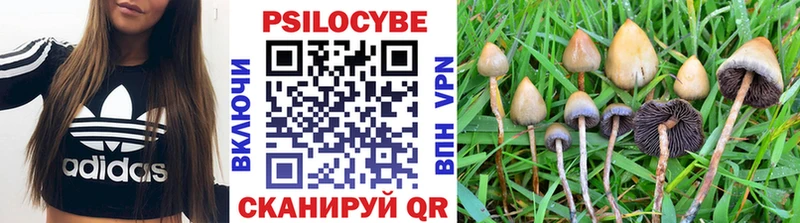 Галлюциногенные грибы Psilocybine cubensis  наркошоп  Пущино 