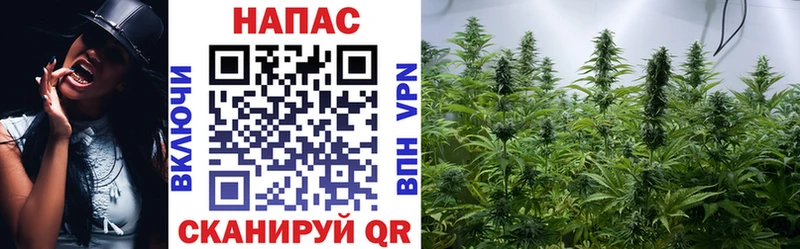 Шишки марихуана тримм Пущино